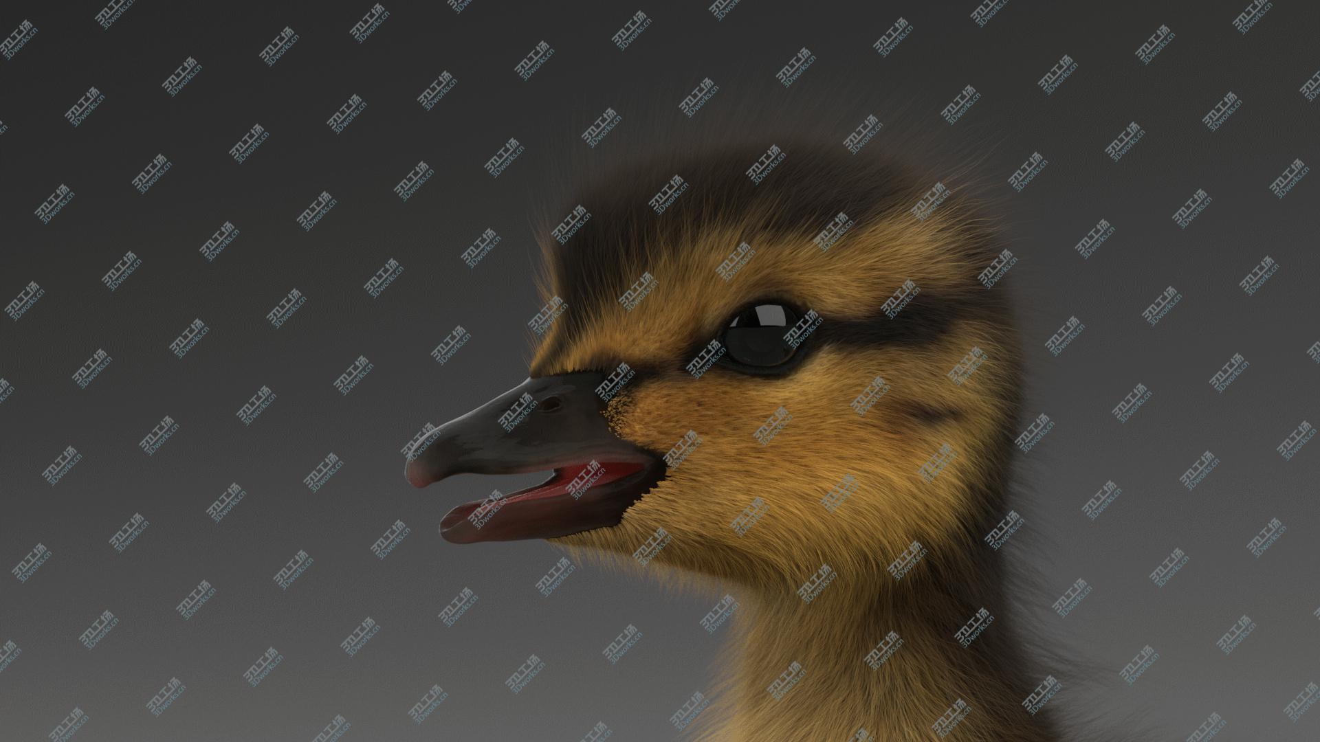 images/goods_img/20210313/Duckling 3D model/5.jpg